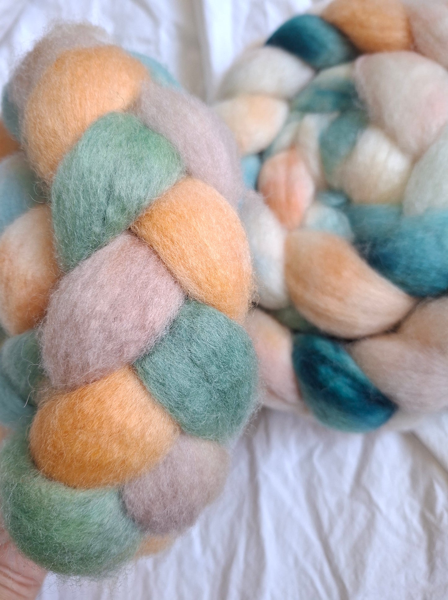 Peach Blossom - BFL combed top (nonsuperwash)