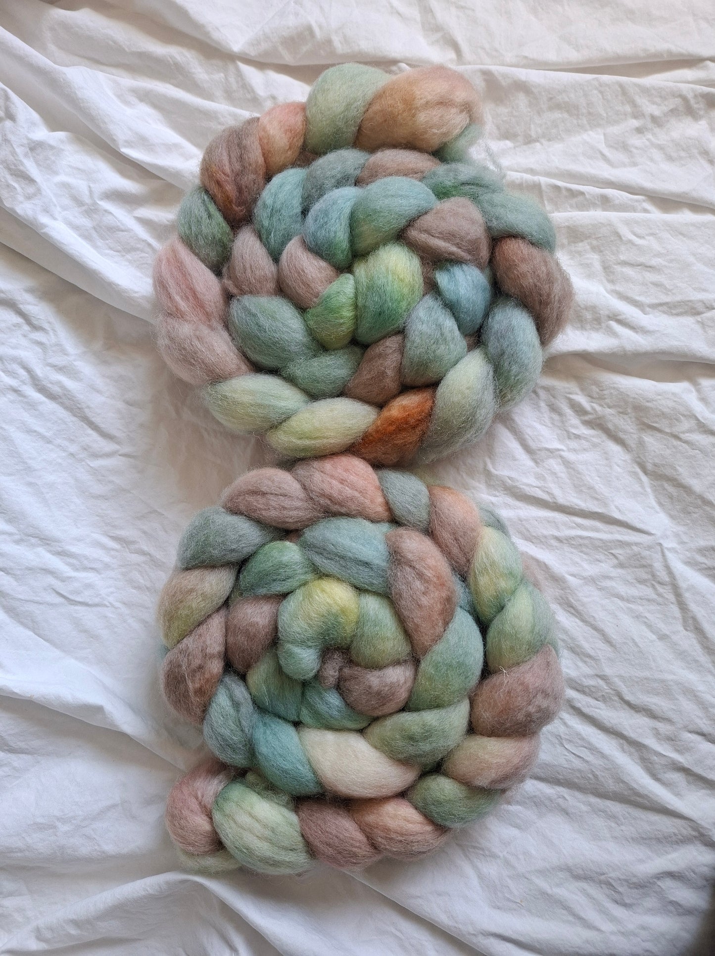 Savannah Oak - BFL combed top (nonsuperwash)