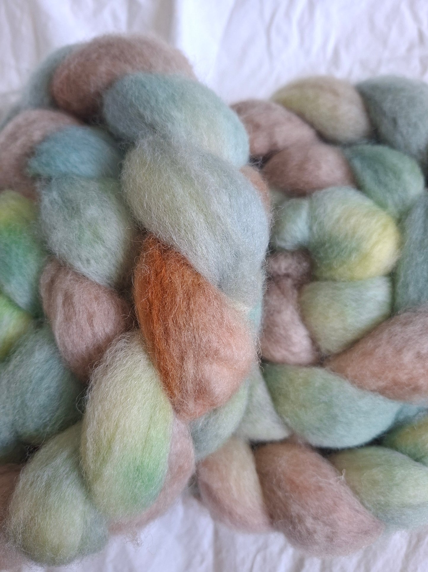 Savannah Oak - BFL combed top (nonsuperwash)