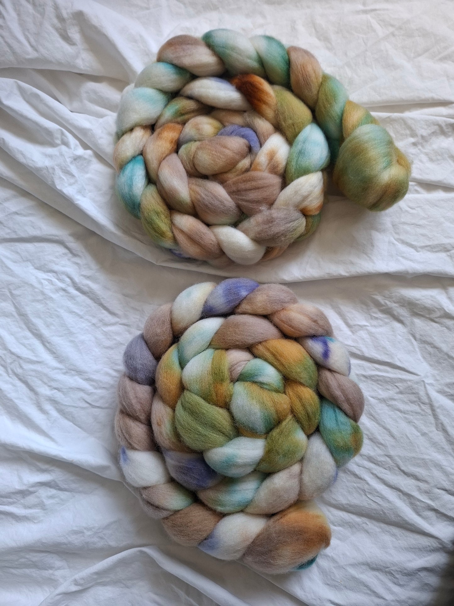 Canyon Trail - Polwarth combed top (nonsuperwash)