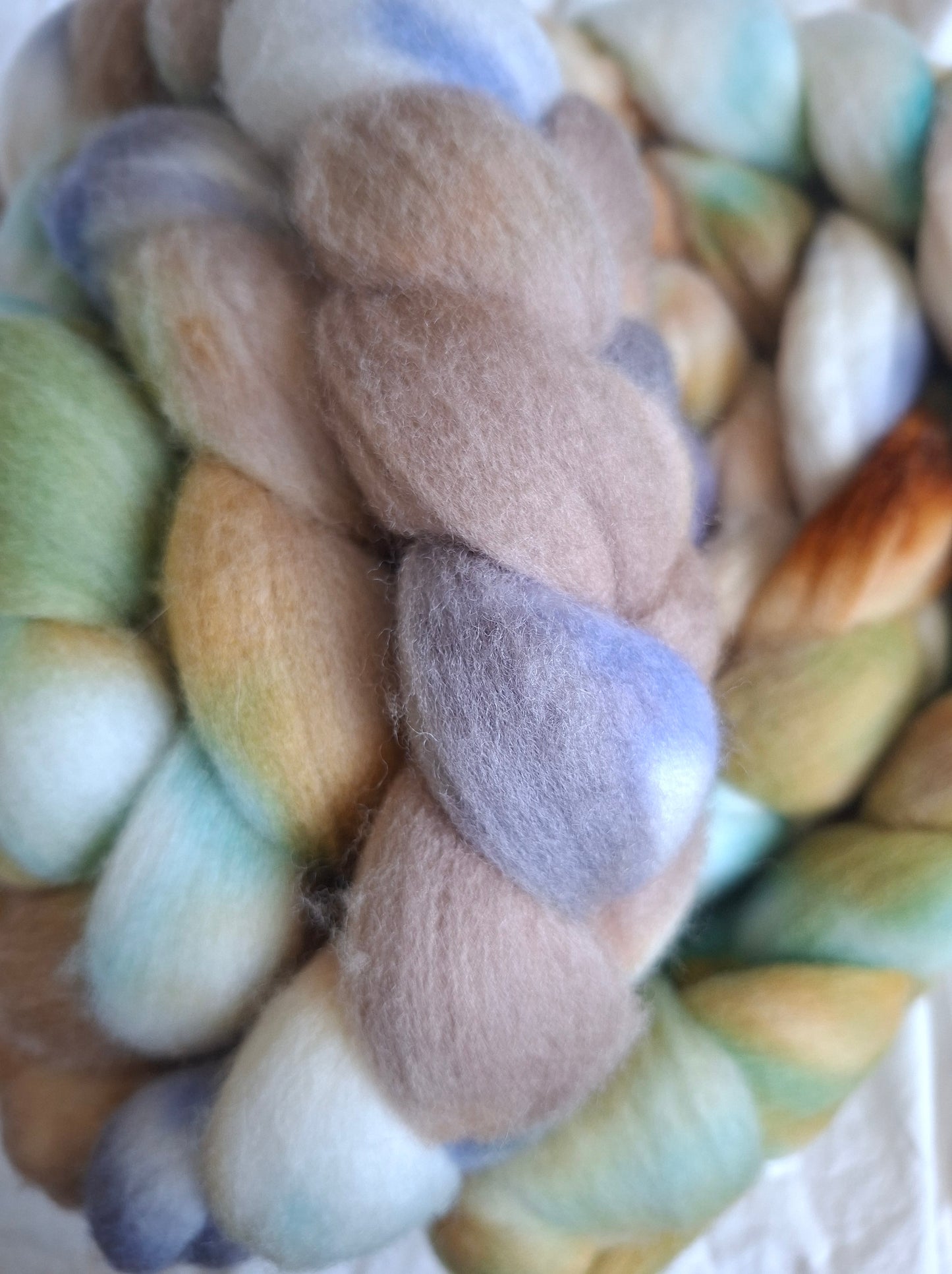Canyon Trail - Polwarth combed top (nonsuperwash)