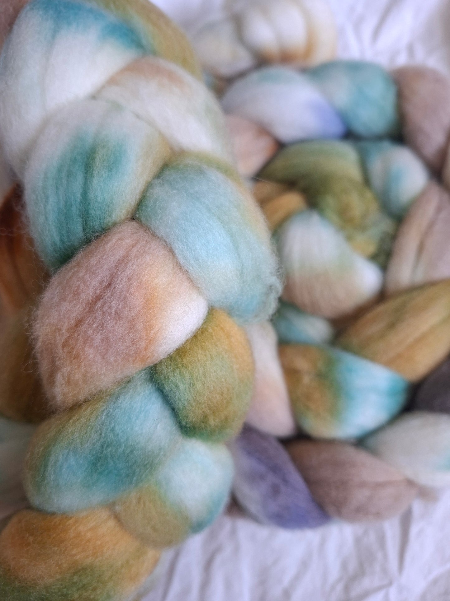 Canyon Trail - Polwarth combed top (nonsuperwash)