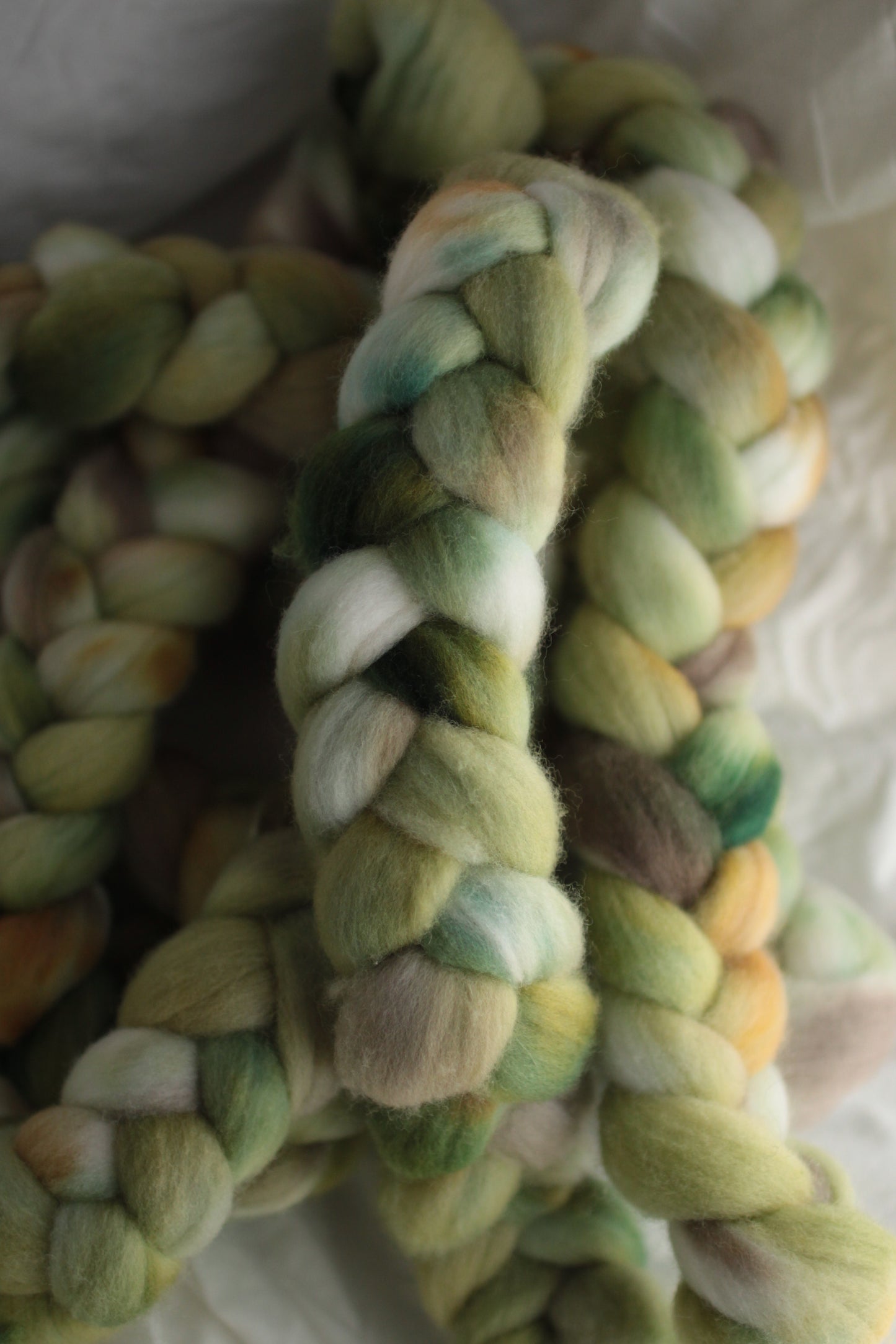 Bamboo Forest - Polwarth combed top (nonsuperwash)