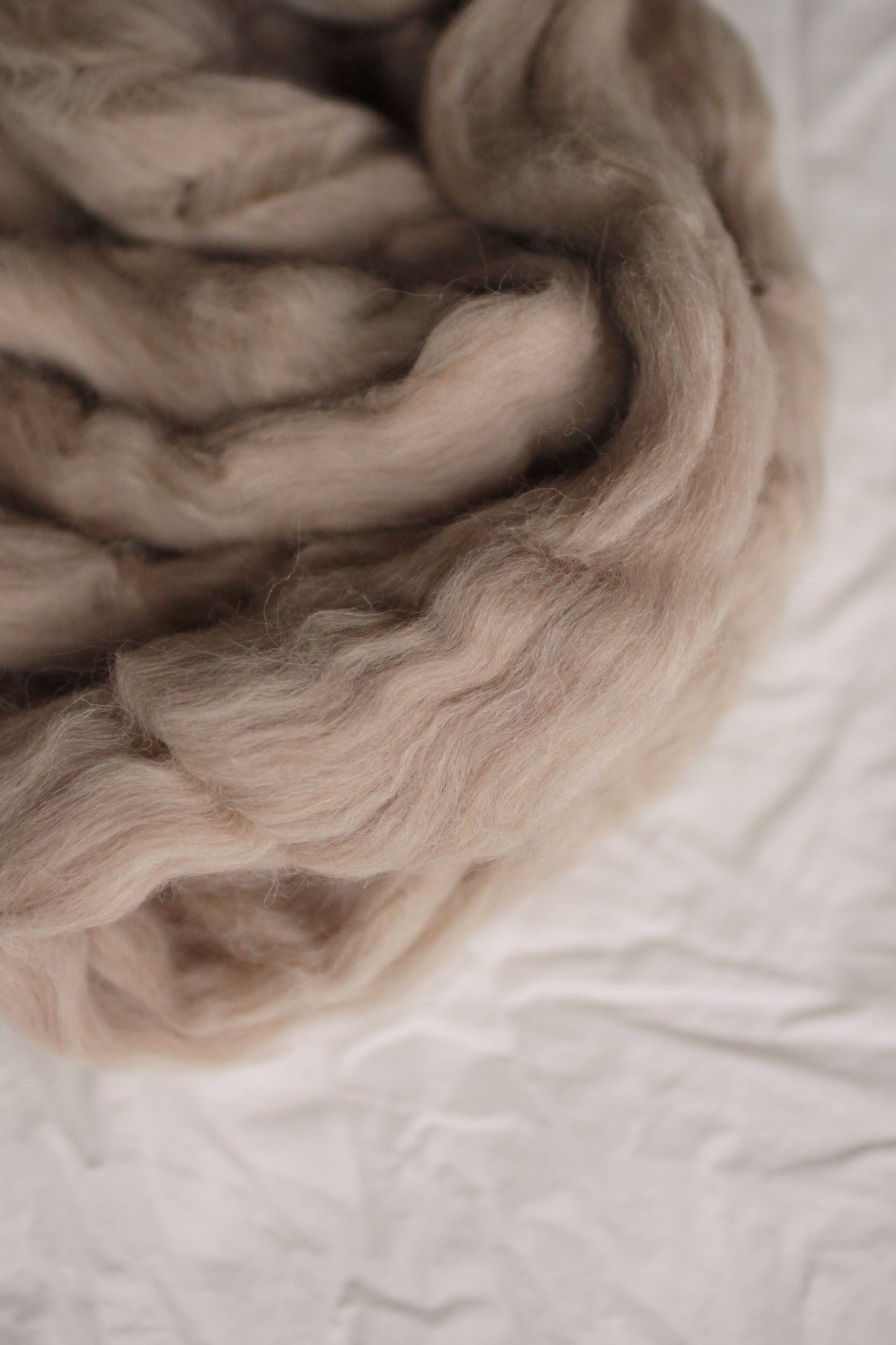 Alpaca - undyed fawn combed top