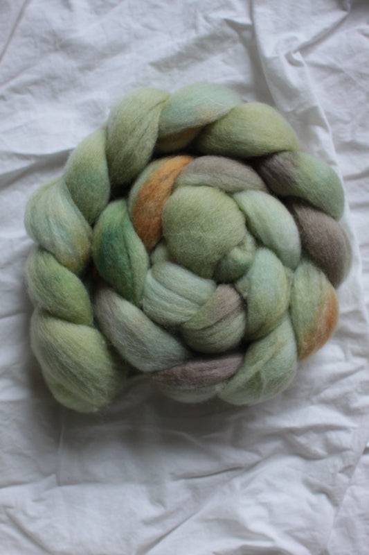 Bamboo Forest - Polwarth combed top (nonsuperwash)