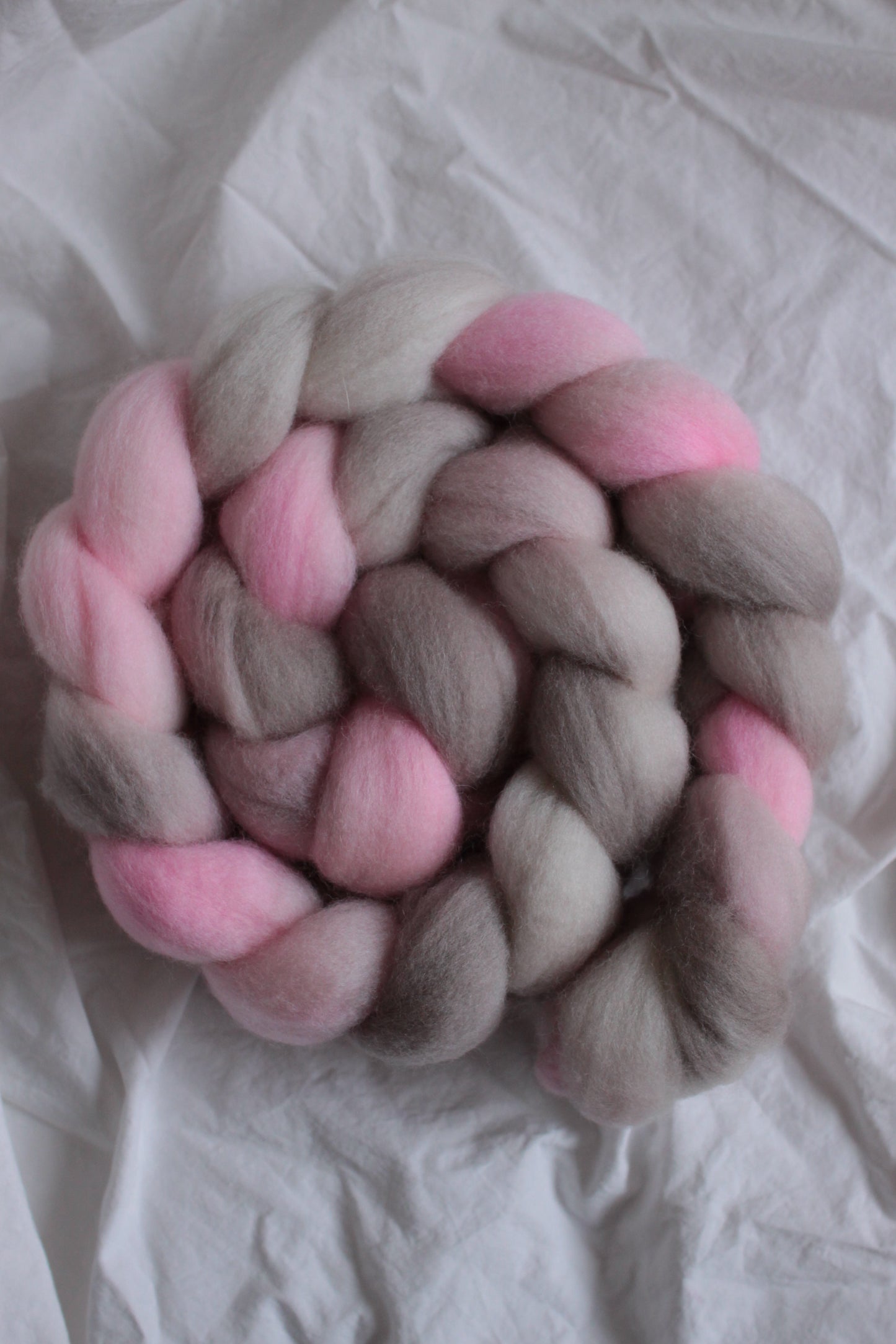 Baby Bear - Polwarth combed top (nonsuperwash)