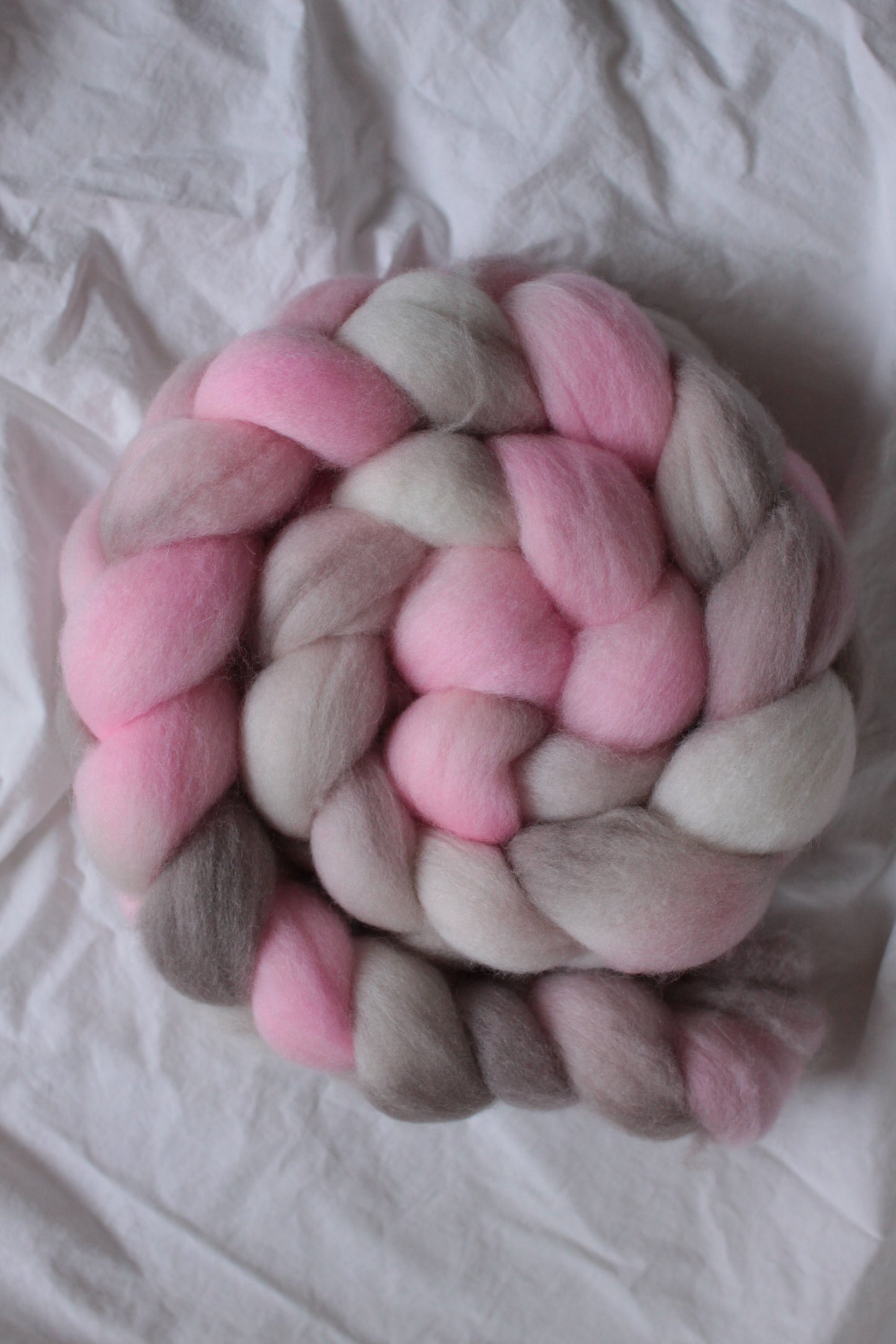 Baby Bear - Polwarth combed top (nonsuperwash)