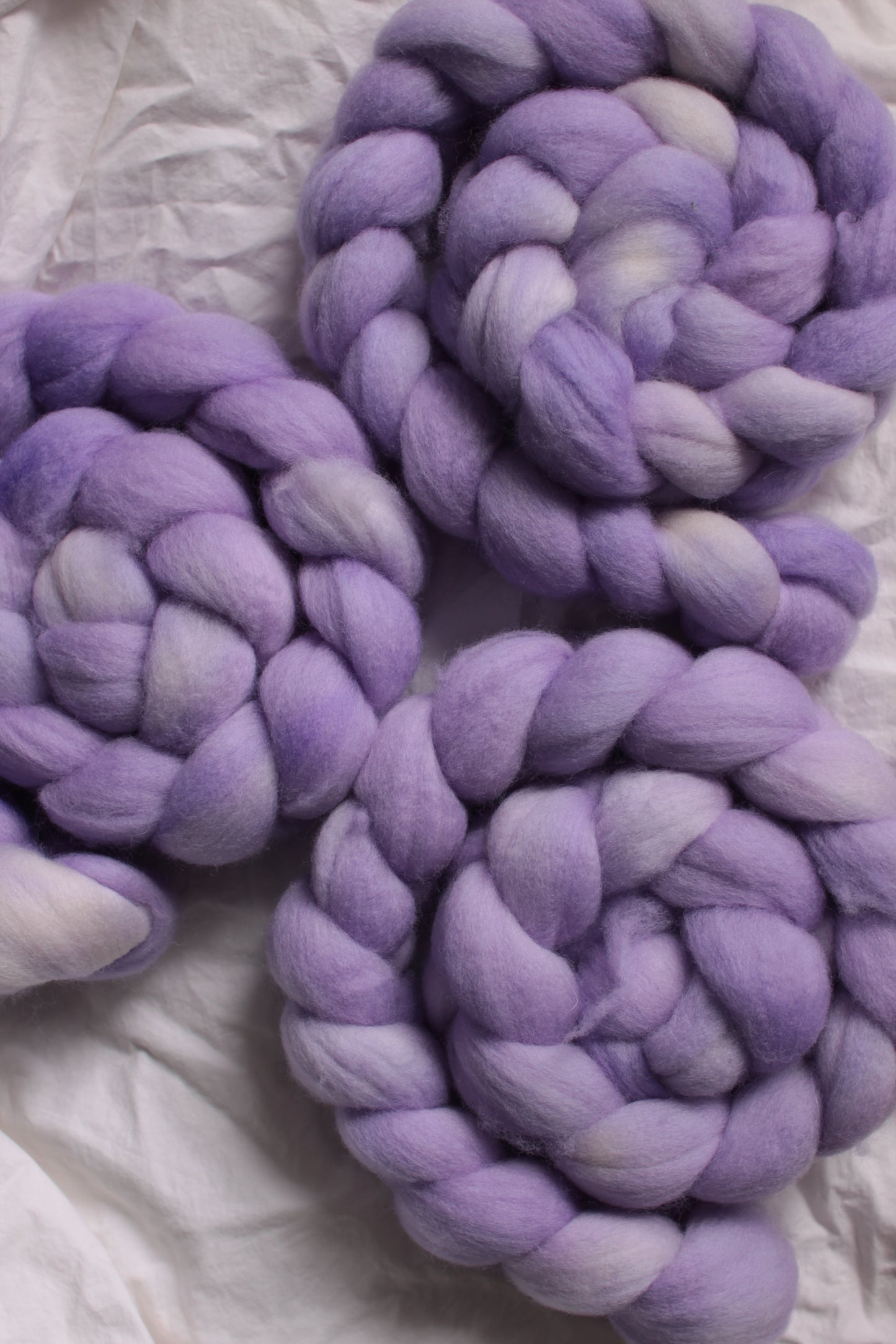 Heliotrope - Polwarth combed top (nonsuperwash)