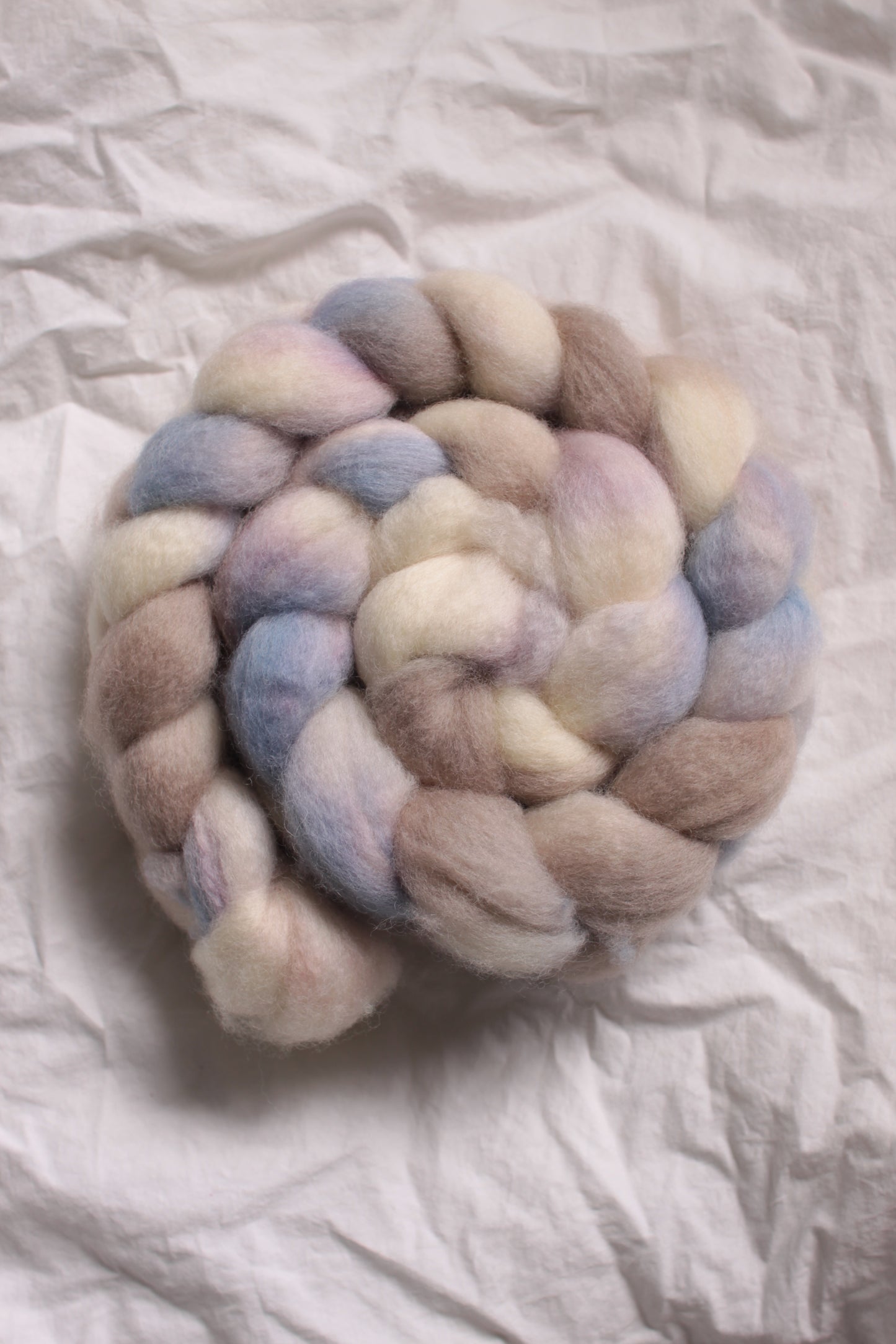 Peter Rabbit - BFL combed top (nonsuperwash)