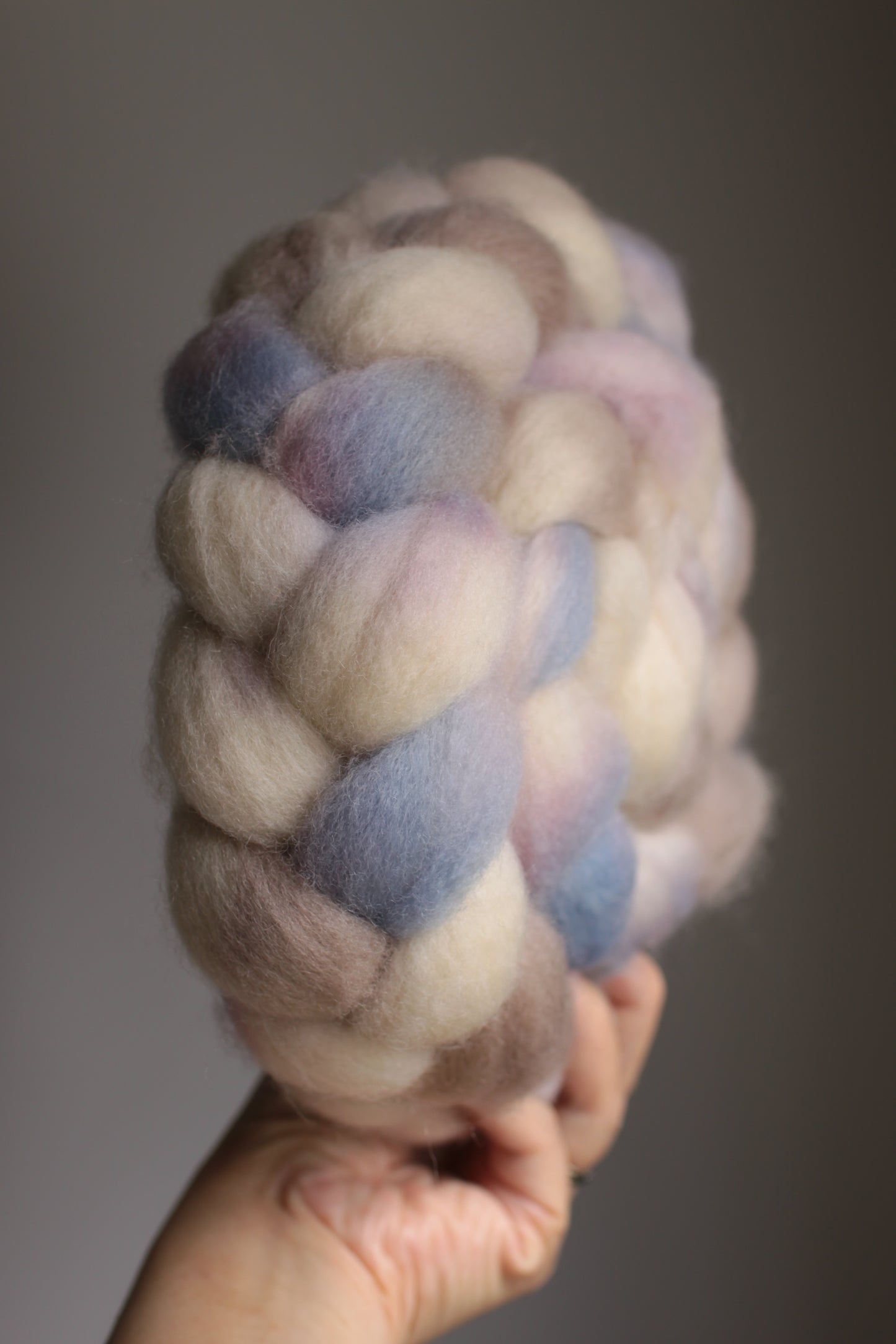 Peter Rabbit - BFL combed top (nonsuperwash)