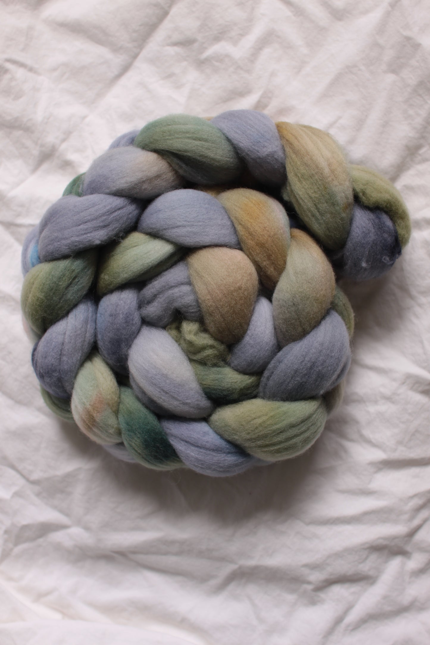 Oxford - Rambouillet combed top (nonsuperwash)