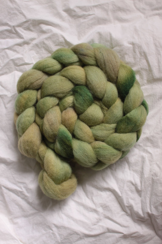 Artichoke - Cormo combed top (nonsuperwash)