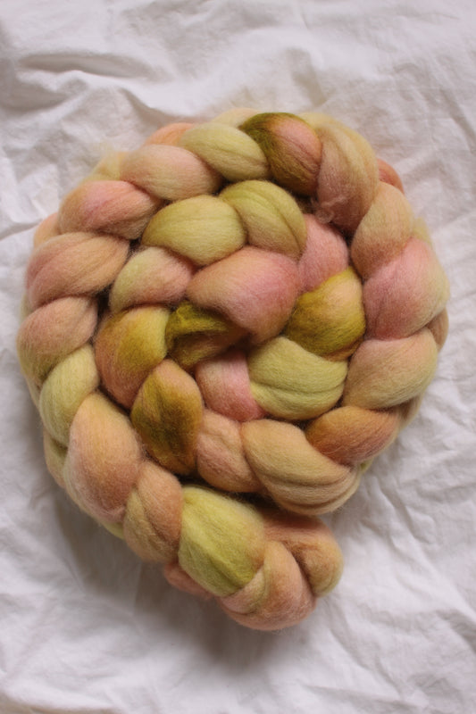 Apricot Leaf - Polwarth combed top (nonsuperwash)