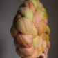 Apricot Leaf - Polwarth combed top (nonsuperwash)