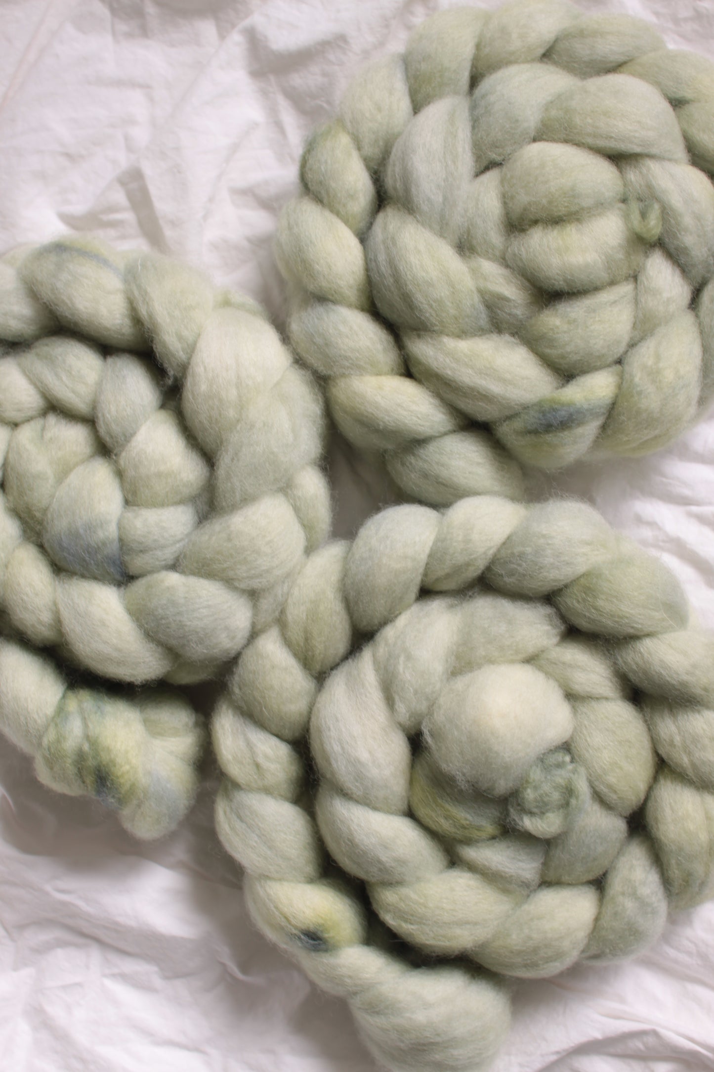 Sage Leaf - BFL combed top (nonsuperwash)