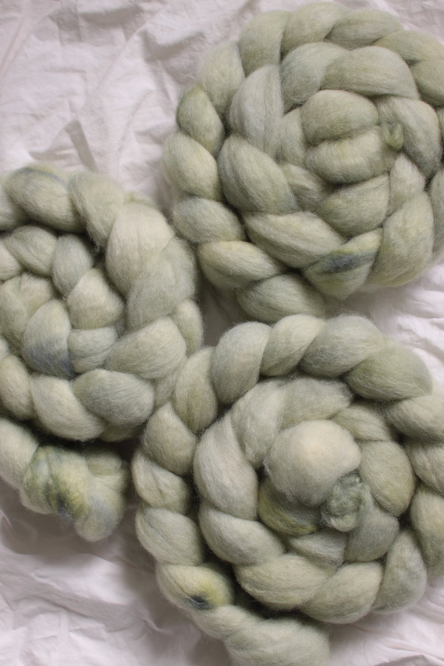 Sage Leaf - BFL combed top (nonsuperwash)