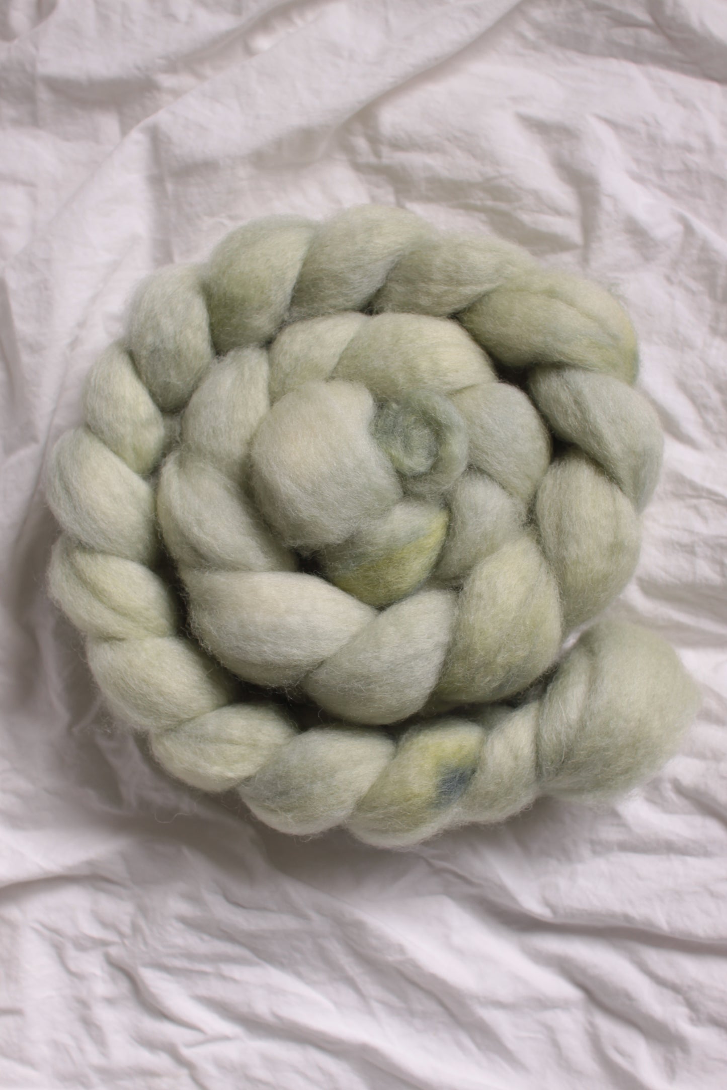 Sage Leaf - BFL combed top (nonsuperwash)