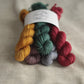 Autumnal - 5-skein Mini Set - Organic Sport